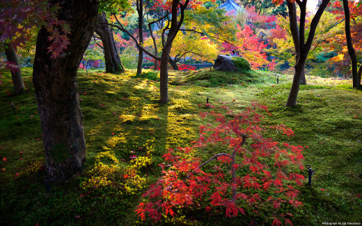 492840 (a): :1920x1200